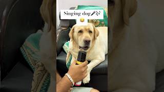 Singing Dog Wait For End