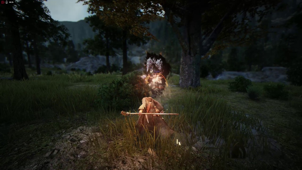 Black Desert Online AMD ReLive test. YouTube