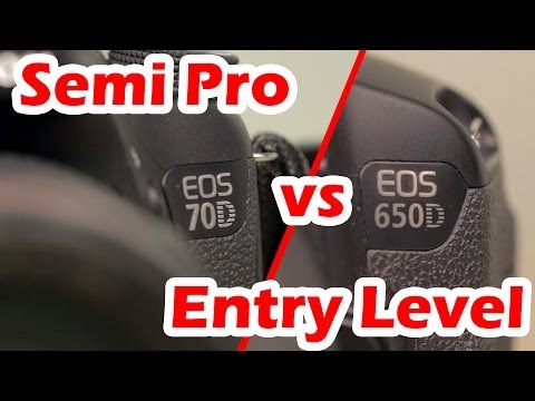 Video: How Does A Professional Camera Differ From A Semi-professional One?