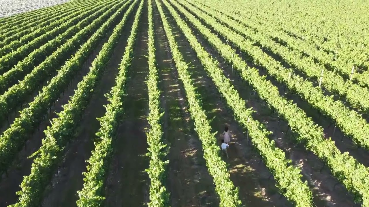 Uco Wines - Mendoza, Argentina