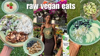 🥒RAW VEGAN🥑 what I eat in a day to feel ~amazing~ tahini kelp noodles, raw granola, chayote salad