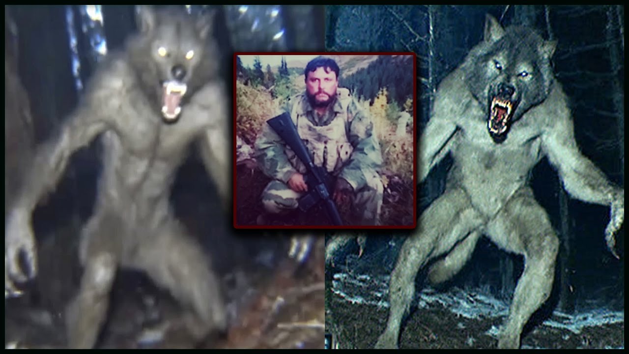 CAZADOR Desapareció Durante la Caza — Un Día Después Hallaron su CUERPO en un Árbol Alto...