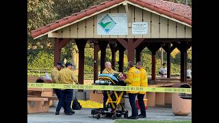 SHOOTING AT HART PARK LEAVES ONE DEAD