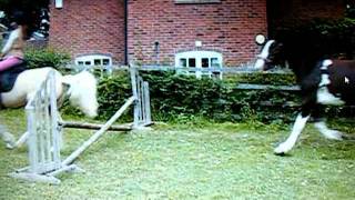 P I P I N The Hair Whipping Pony