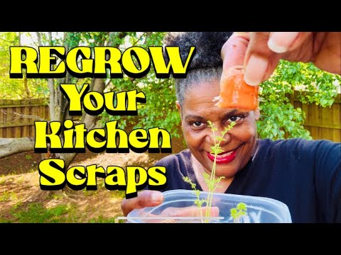 Regrowing Veggie Scraps: What They DON'T Tell You!