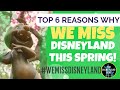 The Top 6 Reasons Why We Miss DISNEYLAND this SPRING! #MissingDisneyland #WeMissDisneyland