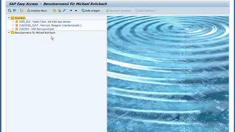 Publish Field - SAP Fiori Extensibility