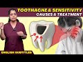 Animation - Quick Relief From Tooth Pain | பல் வலி மற்றும் பல் கூச்சத்திலிருந்து விடுபட எளிய வழிகள்