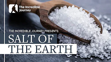 Historical Importance of Salt and How it Shaped Civilisations