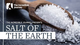 Historical Importance of Salt and How it Shaped Civilisations