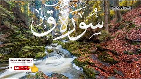 سورة ق ✨ آيات توقظ الغافلين وتشرح الصدور✨zikourach@