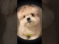 Please don’t leave me