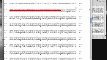 Annotate MSH2 ORF on a plasmid using ApE (A plasmid Editor)