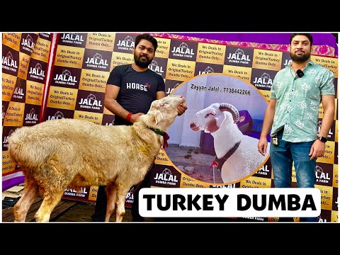 Seks dengiz video rus Qozogiston onlayn porno