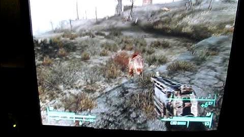 Fallout3 in Wine on Ubuntu 9.10 GNU/Linux using PlayOnLinux and my $269 Linux gaming machine