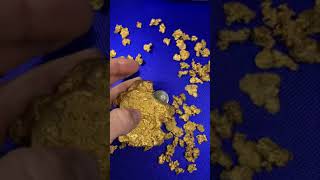 Two Gold Nuggets Worth $350,000 Found In Australia - News - Foto 6