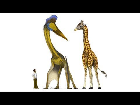 Ted Holden: Do Dinosaurs Pose a Gravity Problem? | Space News