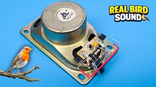 Download Lagu DIY Bird Sound Generator Circuit | Easy Electronic Doorbell (Step by Step) MP3