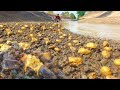 Wow its amazing a man found many gold miner  big gold nugget at river in dry season
