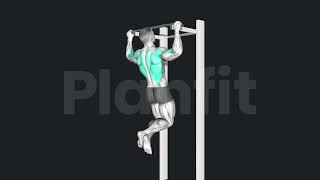How to Pull Up, 3D animation,gif