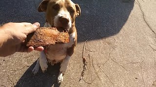 Gifts from JAYSBRAPPINGBBQ 84