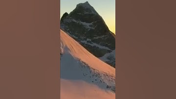 ولقد آتينا موسى تسع آيات بينات
