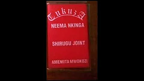 Akiniita mwokozi - Nkinga shirugu joint