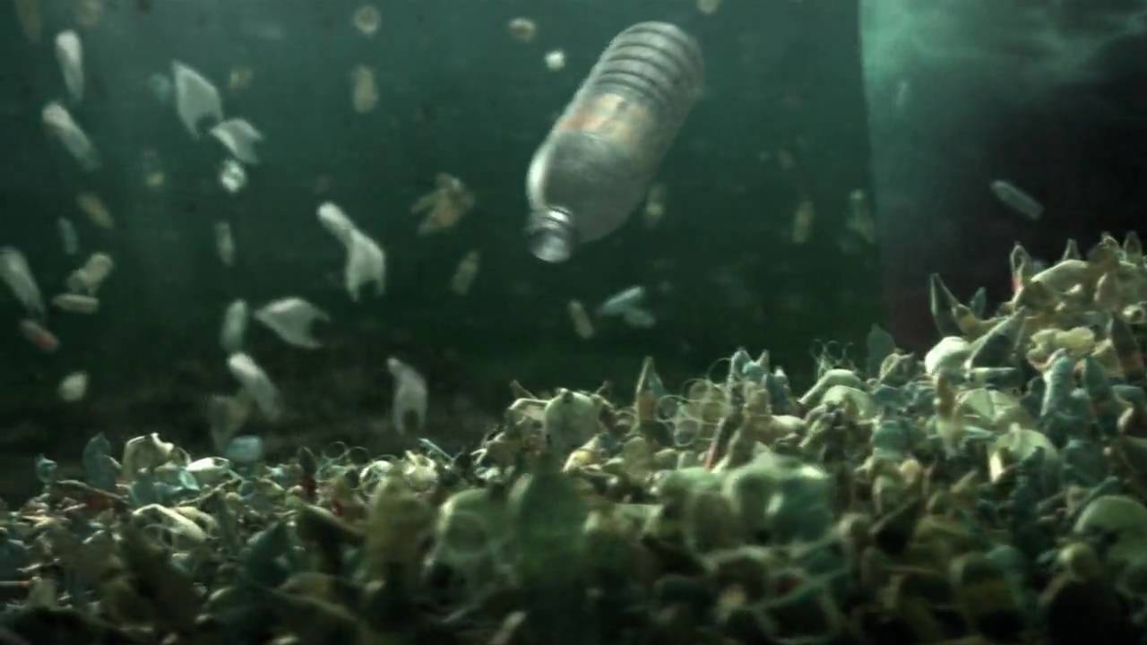 Surfrider "Rise Above Plastics" from www.bpninc.com