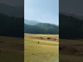 #fecebook #himachalprades #travel #youtubeshorts #nature #himachaliph #shortvideo # #vijaytalapathy
