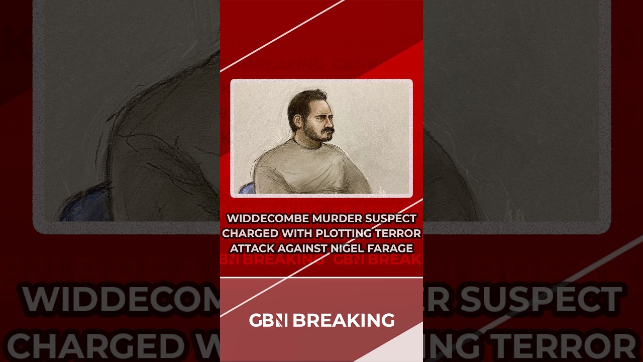 BREAKING: Person alleged to have murdered Ann Widdecombe has been charged with preparing terror acts