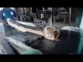 Professional wood lovers come and watch wood cutting skills