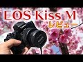 【購入】EOS Kiss Mがめちゃ良い！canoon EOS M50