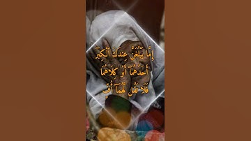 الآيات (23-24) من سورة الإسراء بصوت المقرى هاني الرفاعي