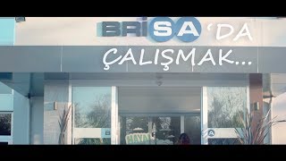 Brisada Çalışmayı Brisalılar Anlatıyor