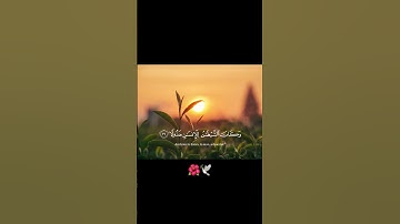 Surah Al-Furqan (26-30)🌺 استمع إلى تلاوة القرآن الكريم بصوت جميل.