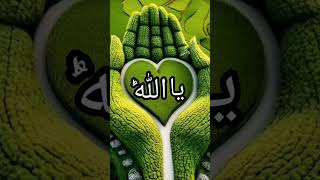 Hasbi Rabi Naat Rasool pak (saw) #allah #beautiful