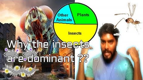The reason behind the dominance of insects| Fundamentals of entomology (class-3)| Entomology class