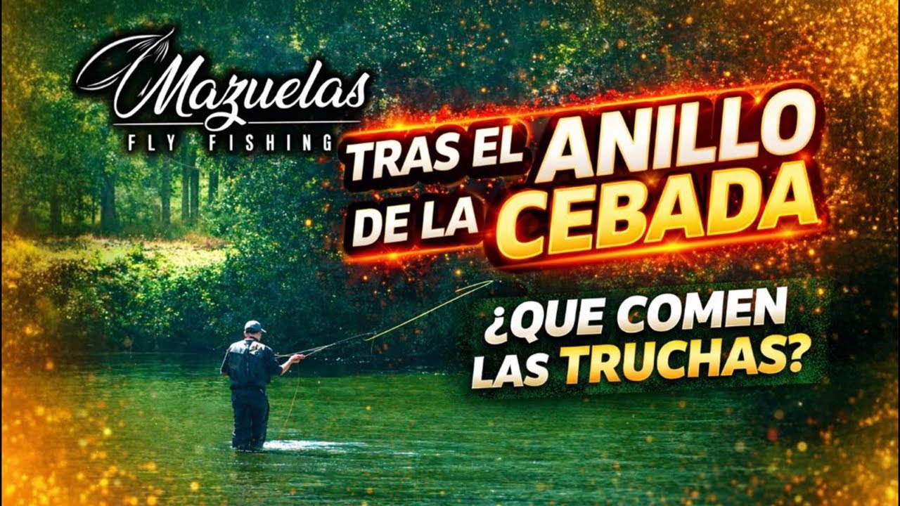 ✅Mazuelas Fly Fishing DIRECTO✅Que comen las truchas?
