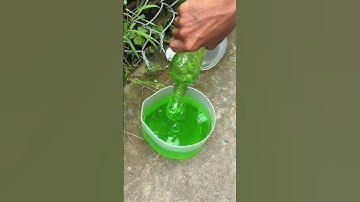 Hộp Đựng Nước Rửa Chén 2 Trong 1