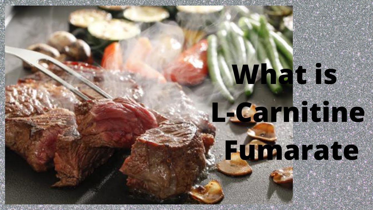 What is L Carnitine Fumarate YouTube