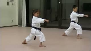 JKA/ Mahiro & Masaki practice Heian shodan-godan and Tekki shodan part 2