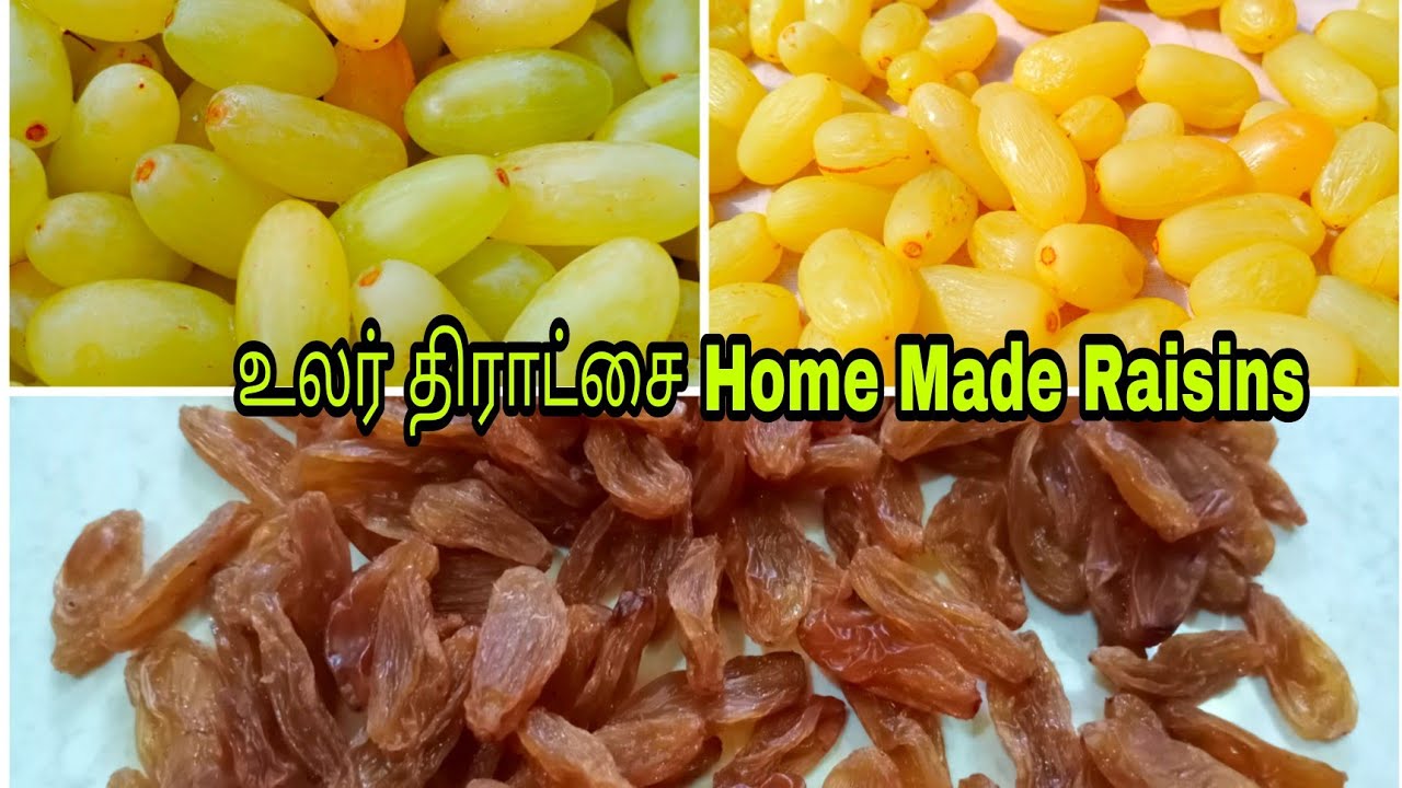 Home made Raisins Home made Raisins recipe in Tamil Kismis