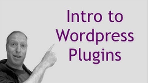 Wordpress Training Video 4 | Intro to Wordpress Plugins | Baer On Marketing