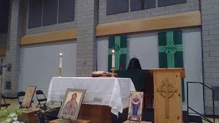 XVI Domingo del Tiempo Ordinario