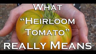 What 'Heirloom Tomato' Really Means