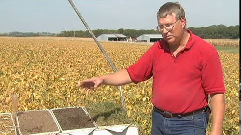 Soil Erosion and Runoff Demo