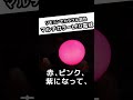 ハロウィンやクリスマスに♪ホームパーティーを照明で盛り上げよう！マルチカラーLED電球で、部屋をハッピーカラーに！