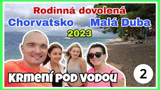 Rodinná dovolená Chorvatsko Malá Duba 2023 2.díl - Krmení pod vodou