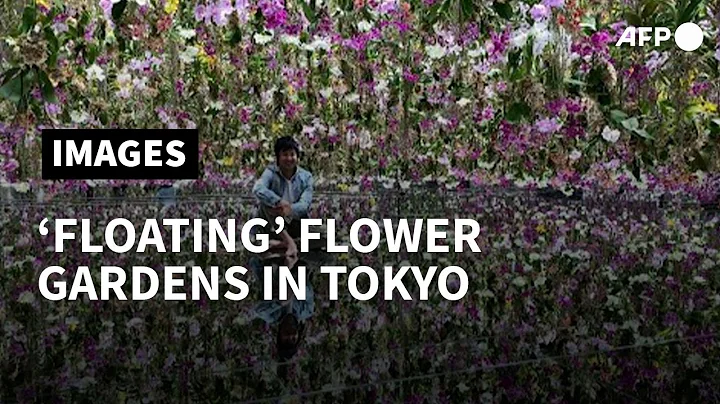 'Floating Flower Gardens': Japan's teamLab unveils new Tokyo exhibit | AFP - DayDayNews