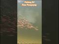 Пожарный Резервуар Зарыблен Красивыми Карасиками. 4.06.2025. #4k #video #fishing #carp #хобби